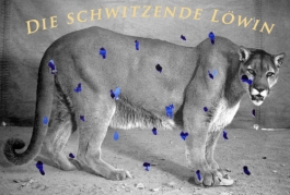 MathisZwick